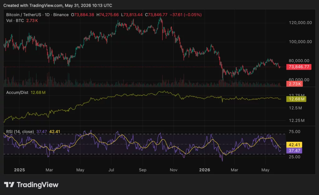 Bitcoin (BTC) price chart, source: crypto.news