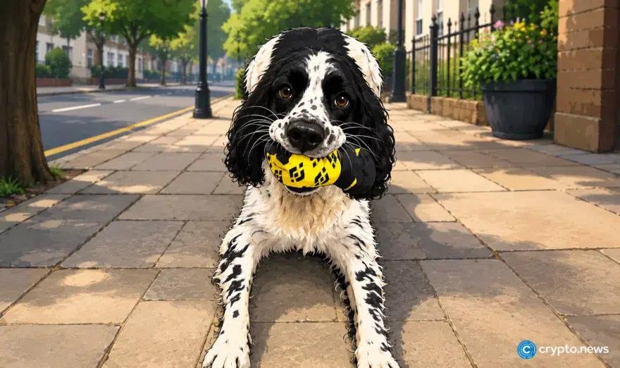 This International Dog Day, Binance celebrates a rescue story close to home - 6