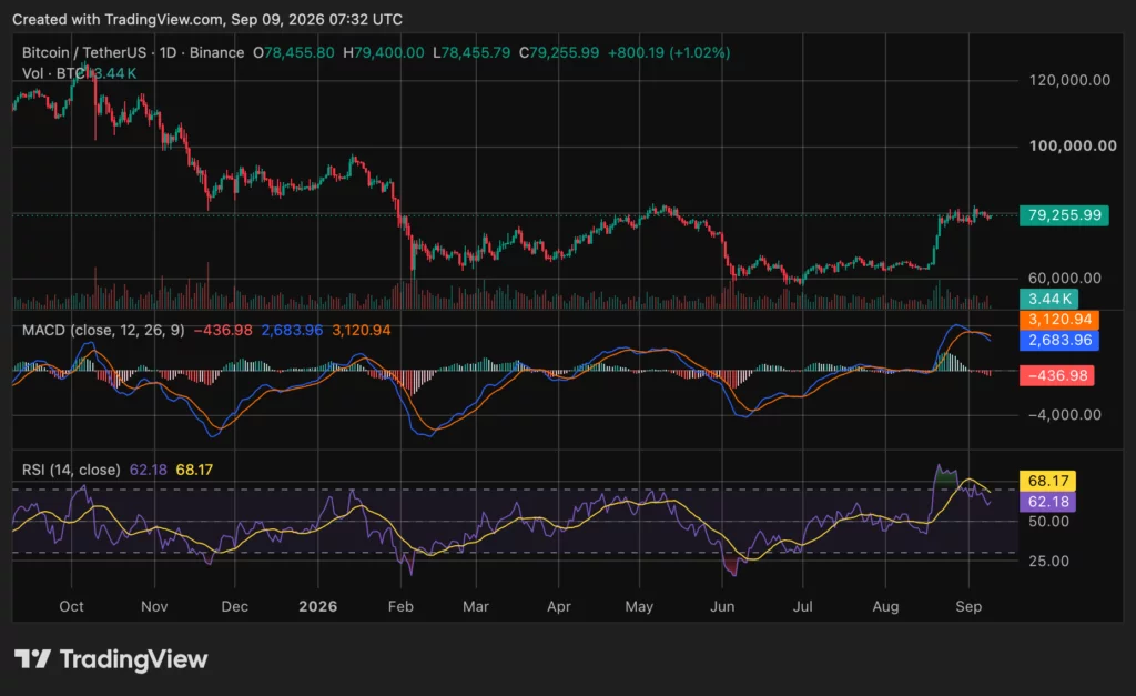 Bitcoin (BTC) price chart, source: crypto.news