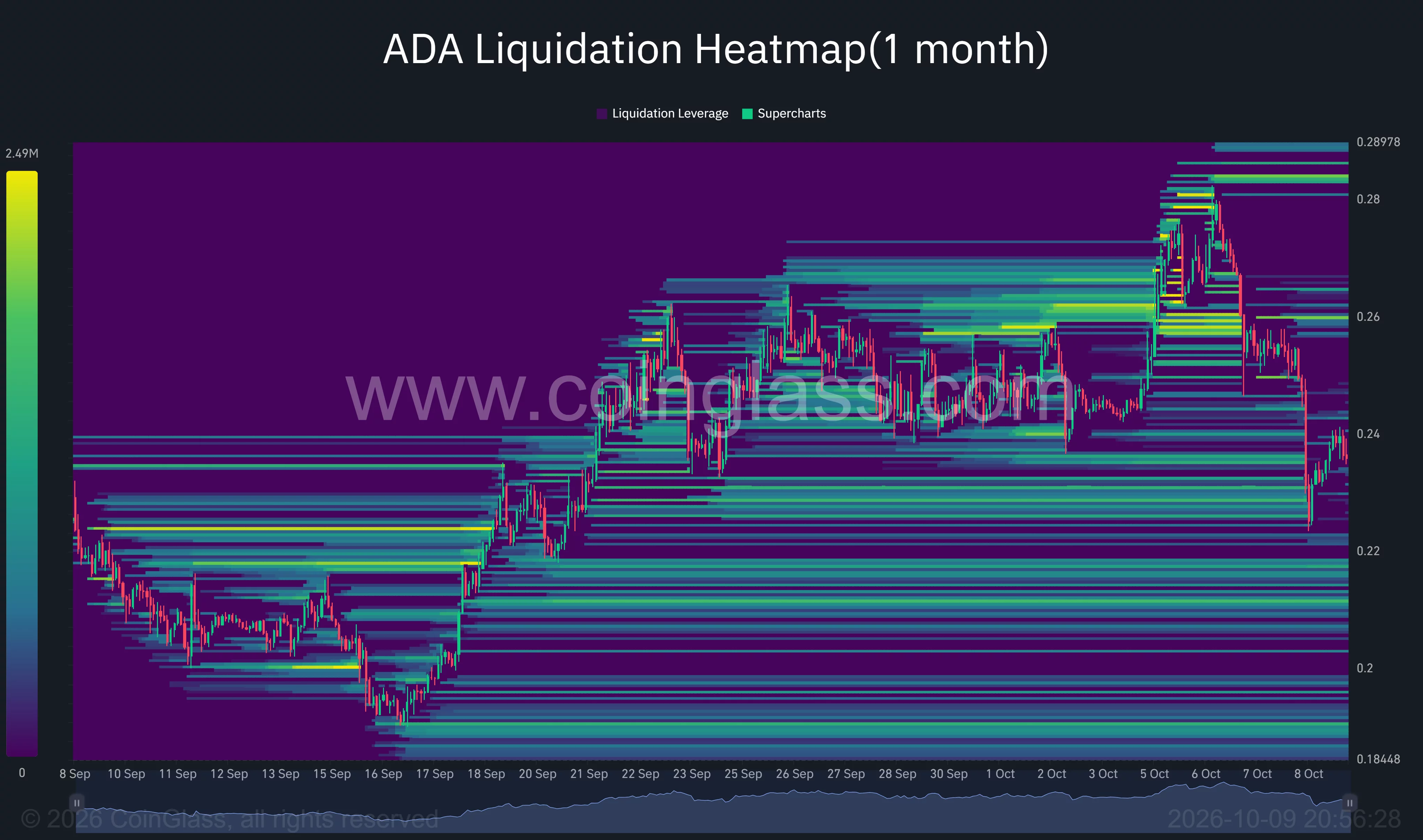 Cardano one-month liquidation heatmap shows ADA near $0.236, with leverage clusters around $0.215–$0.22 and $0.257–$0.26.