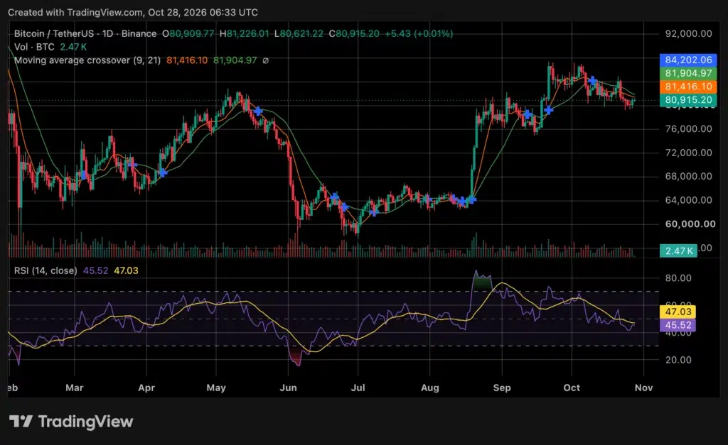 Bitcoin price chart, source: crypto.news