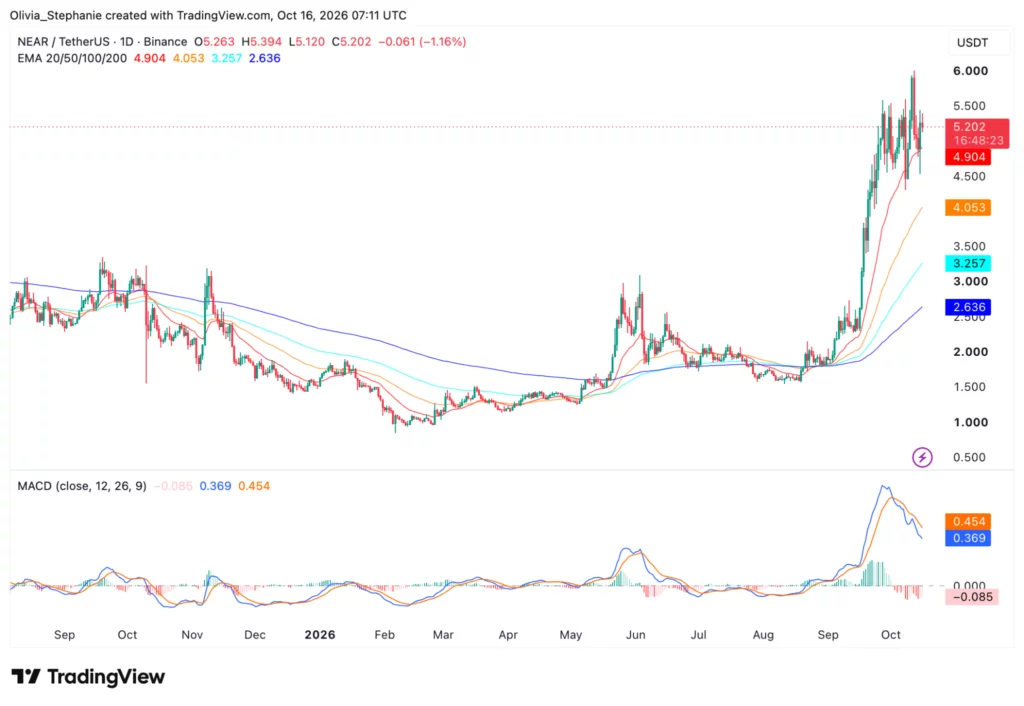  TradingView